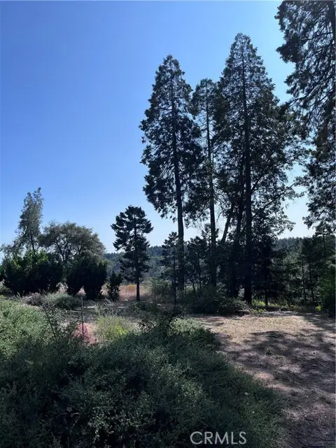 13903 Cluster Court, Magalia, CA 95954 - #3