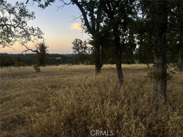 6915 Remunda Road, Corning, CA 96021 - #1