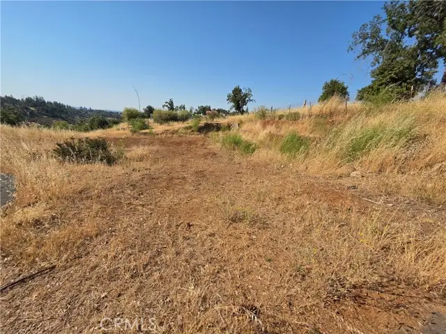 1624 Henderson Lane, Paradise, CA 95969 - #1