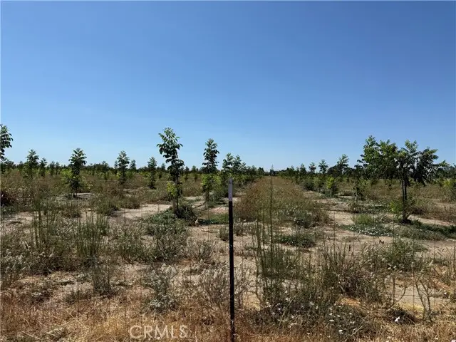 0 Loleta, Corning, CA 96021 - #1