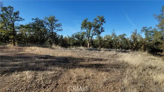 17435 Quail Ridge Road, Cottonwood, CA 96022 - #1