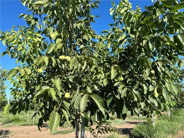 0 Kelly Lane, Chico, CA 95973 - #3