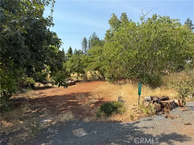 6541 Wheeler Road, Paradise, CA 95969 - #2