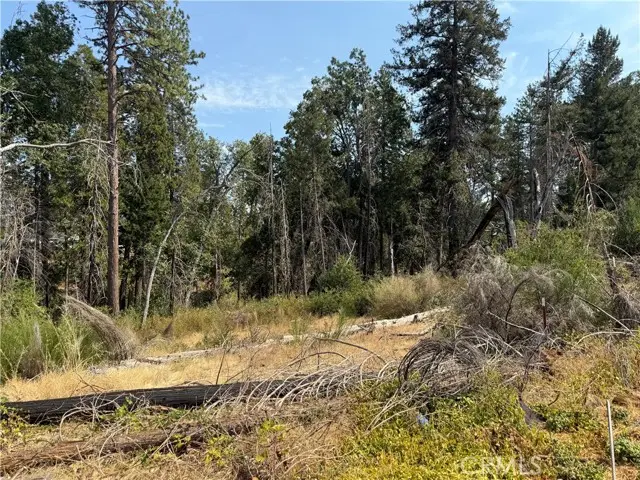 1706 Young Avenue, Paradise, CA 95969 - #3