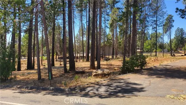 13865 Park Drive, Magalia, CA 95954 - #2