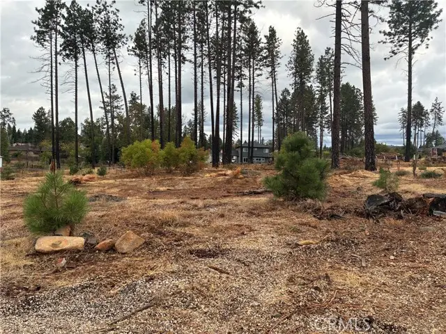 1439 Powell Lane, Paradise, CA 95969 - #1