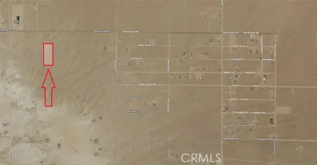 4520921 Lucerne Valley, Lucerne Valley, CA 92356 - #2