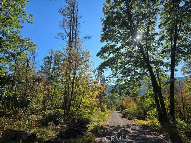 0 Muledeer Rd., Weed, CA 96094 - #1