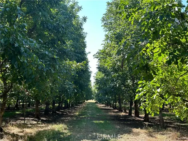 25040 63rd Avenue, Los Molinos, CA 96055 - #3