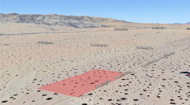 6041912 Desert Trail, Joshua Tree, CA 92252 - #2