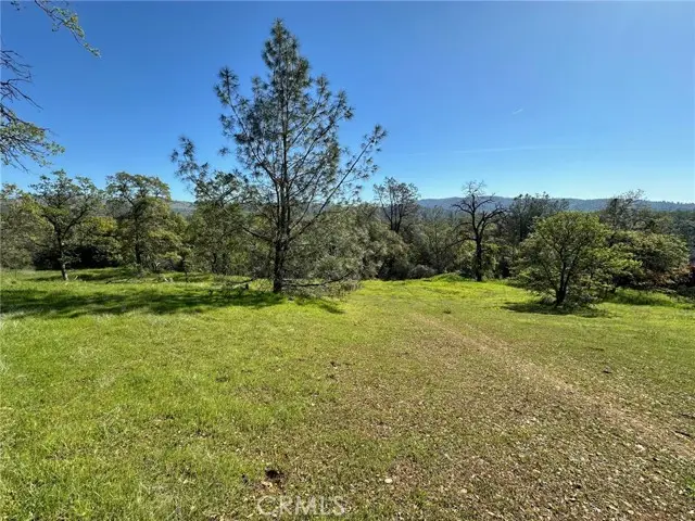 169 Shady Oak Drive, Oroville, CA 95966 - #1