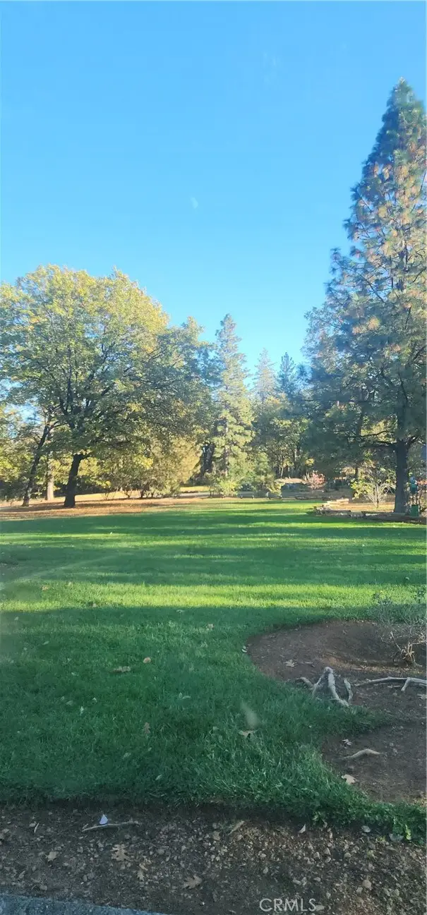 14900 Woodland Park, Forest Ranch, CA 95942 - #1
