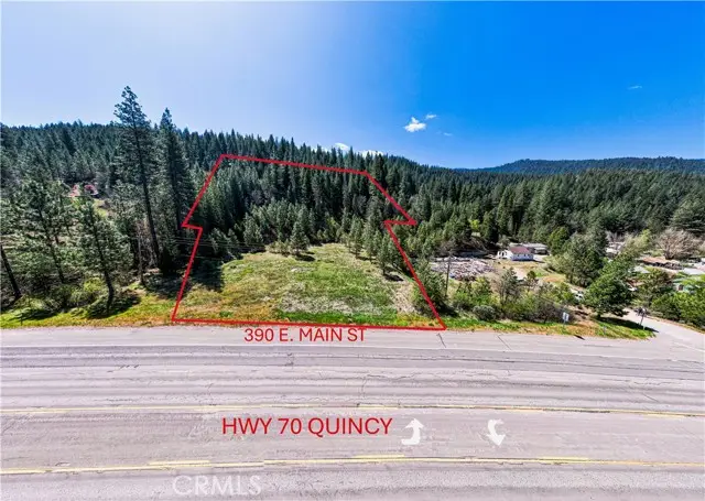 390 Main, Quincy, CA 95971 - #1