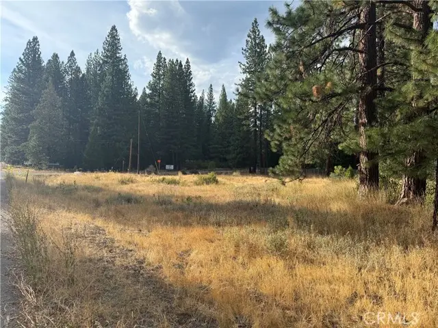 58373 Ca-70, Blairsden, CA 96103 - #2