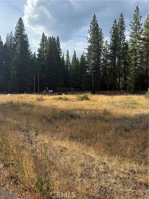 58373 Ca-70, Blairsden, CA 96103 - #3