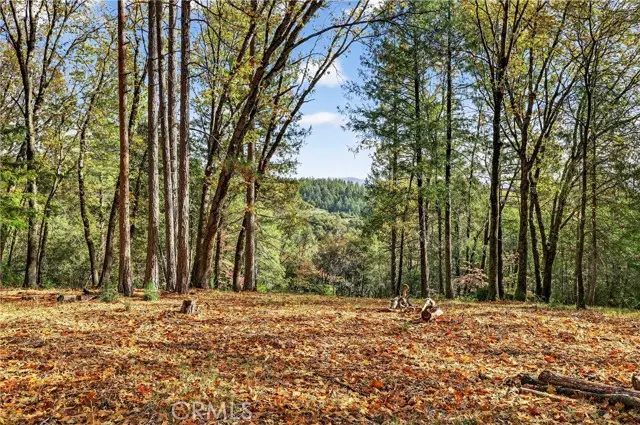 0 Burgundy Lane, Forest Ranch, CA 95942 - #1