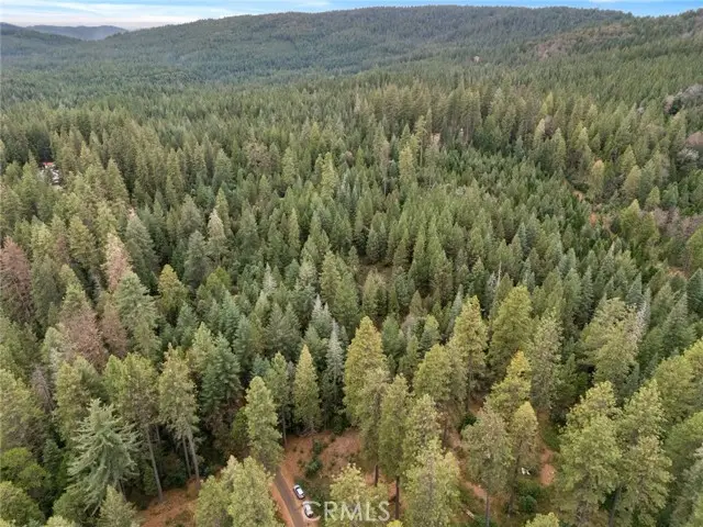 1 Old Forbestown Road, Forbestown, CA 95941 - #1