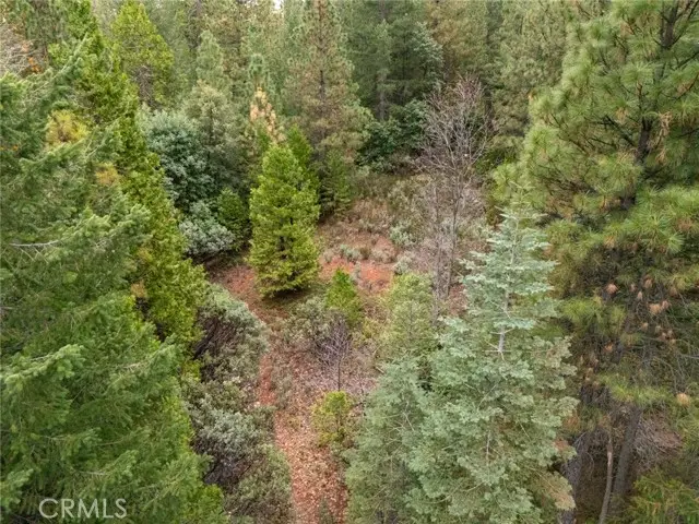 1 Old Forbestown Road, Forbestown, CA 95941 - #2