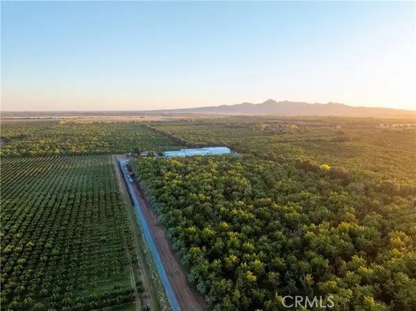 459 Evans Reimer Road, Gridley, CA 95948