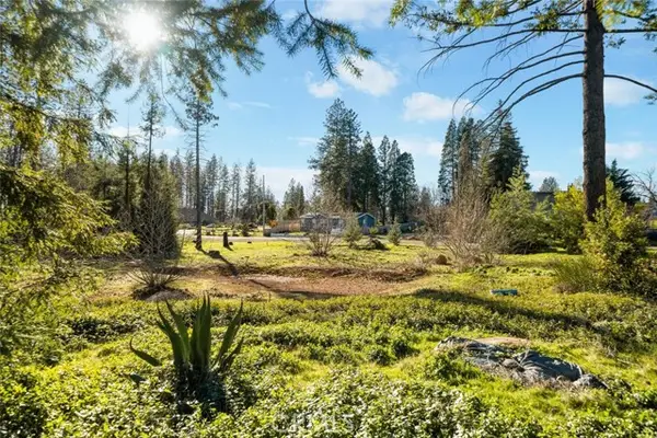 6903 Kitty, Paradise, CA 95969