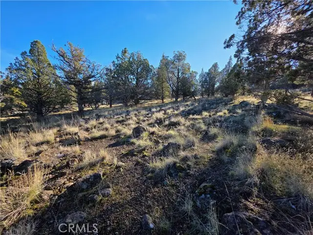 25 Quail Ridge, Weed, CA 96094 - #2