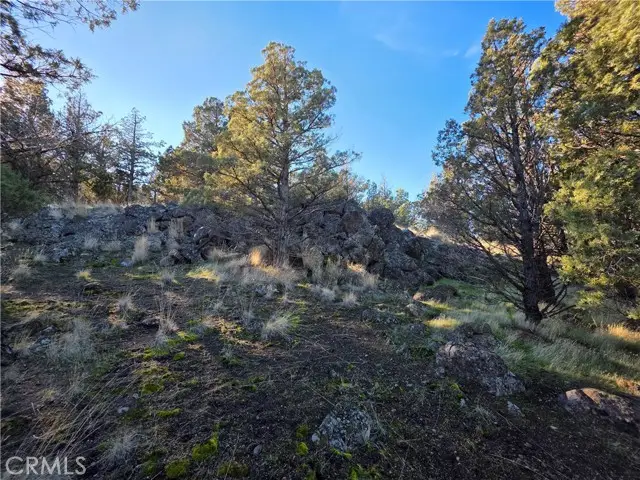 25 Quail Ridge, Weed, CA 96094 - #3