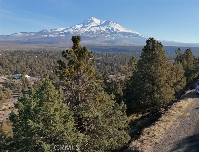 44 Dwinell Drive, Weed, CA 96094 - #2