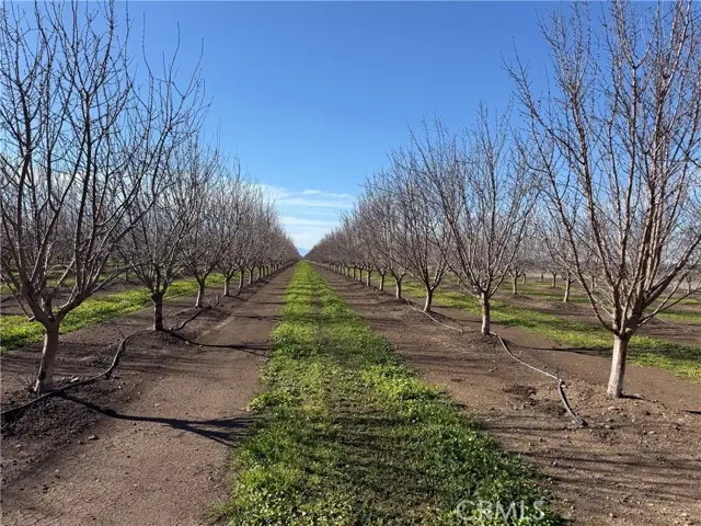 14693 Hamilton Nord Cana Highway, Chico, CA 95973 - #2