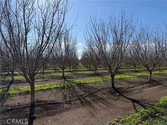 14693 Hamilton Nord Cana Highway, Chico, CA 95973 - #3