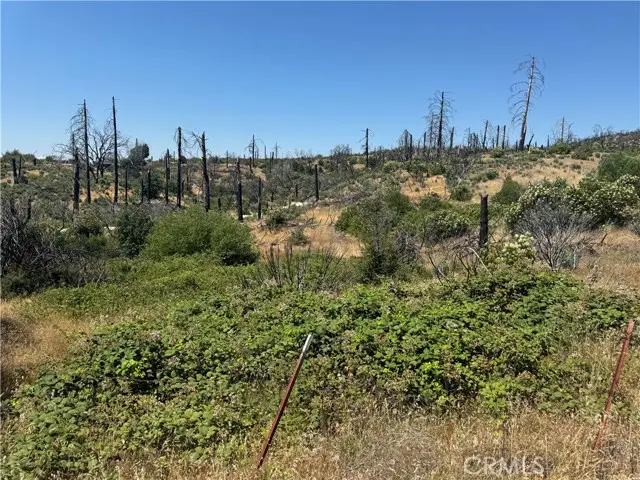 0 Sierra View, Berry Creek, CA 95916 - #2