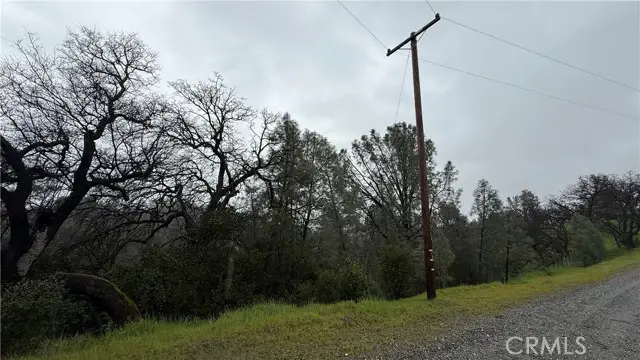 16370 Oakridge Road, Corning, CA 96021 - #2