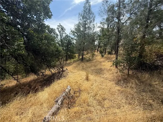 16295 Hillcrest Drive, Corning, CA 96021 - #2