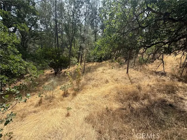 16295 Hillcrest Drive, Corning, CA 96021 - #3