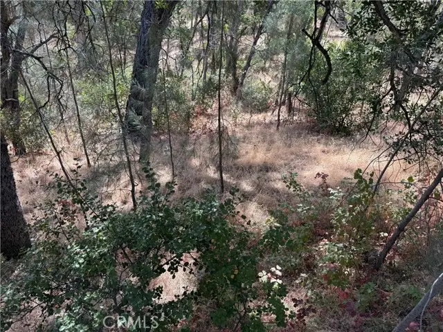 16305 Hillcrest Drive, Corning, CA 96021 - #2