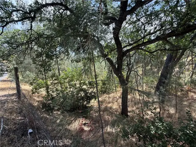 16305 Hillcrest Drive, Corning, CA 96021 - #3