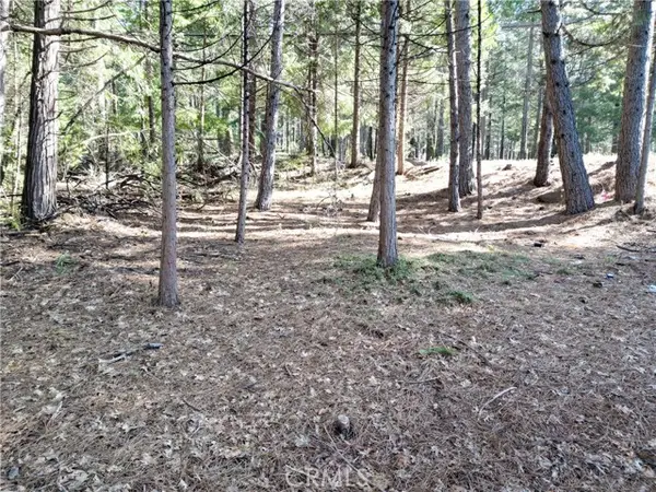 0 Skyway, Magalia, CA 95954