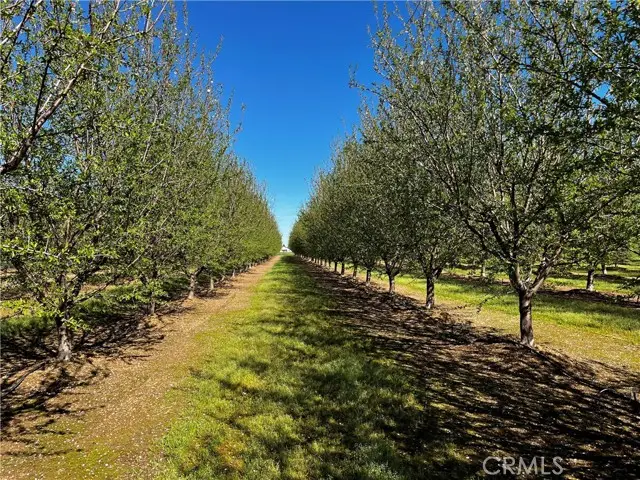 24186 Orangewood Road, Corning, CA 96021 - #2