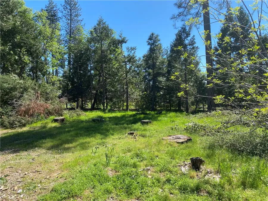 13784 Curtis Court, Magalia, CA 95954 - #2