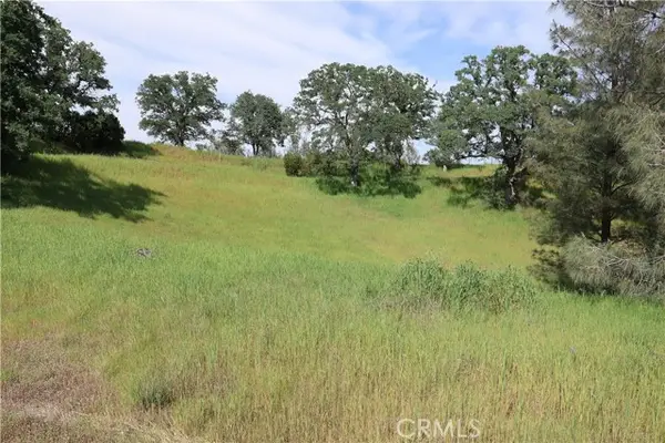 7325 Bluebird Rd., Corning, CA 96021