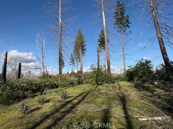 0 Bald Rock Road, Berry Creek, CA 95916