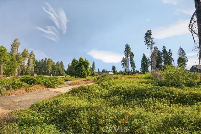 14116 Wingate, Magalia, CA 95954 - #1