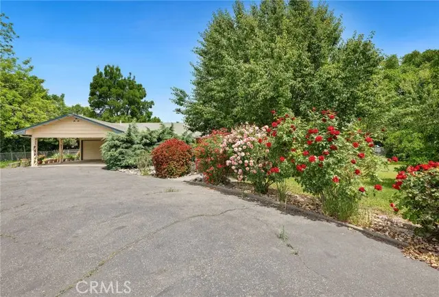7012 State Highway 32, Orland, CA 95963 - #1
