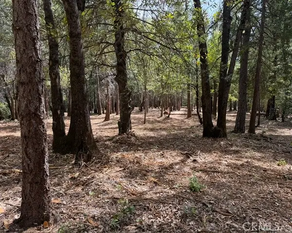 0 Platt Mountain Road, Forest Ranch, CA 95942