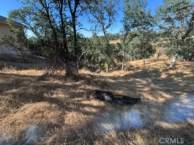 19932 Freshwater Drive, Cottonwood, CA 96022 - #1