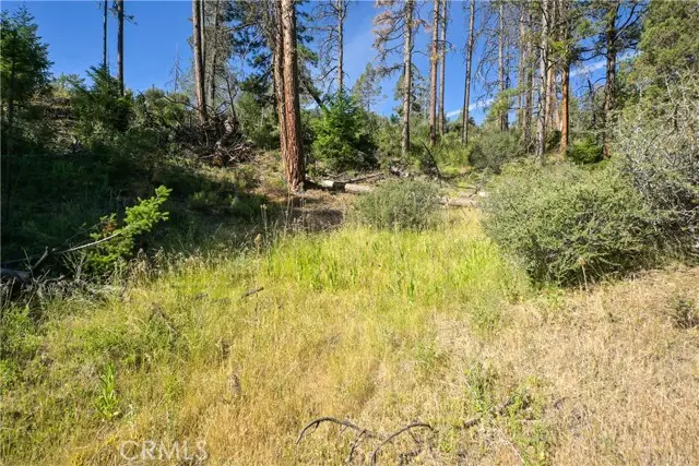 1 Duzel Creek Road, Fort Jones, CA 96032 - #1