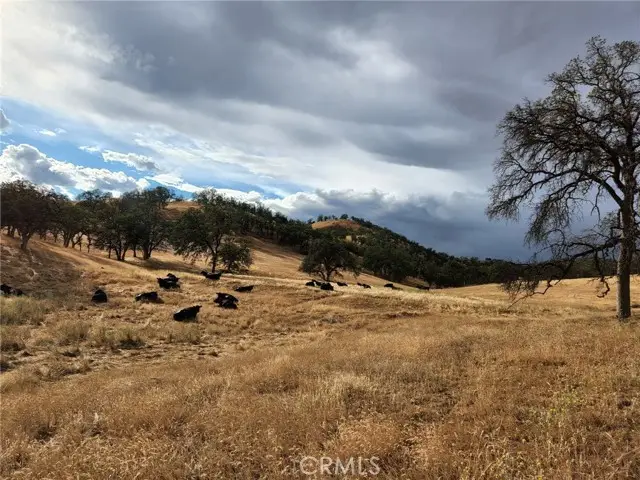 0 County Rd 200, Orland, CA 95963 - #3