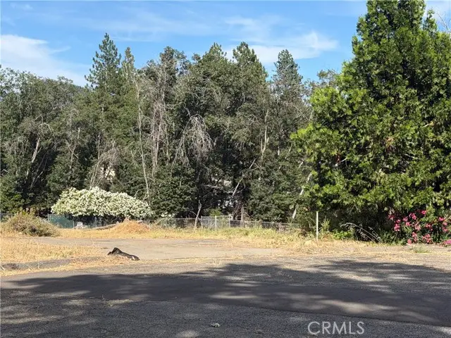 6381 Molinari Court, Magalia, CA 95954 - #3