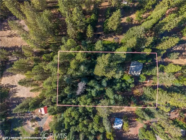 19133 New York Flat Road, Forbestown, CA 95941 - #2