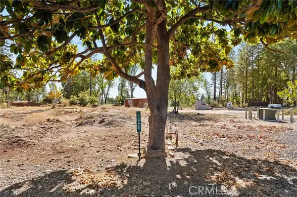 1488 Saint Peters Court, Paradise, CA 95969
