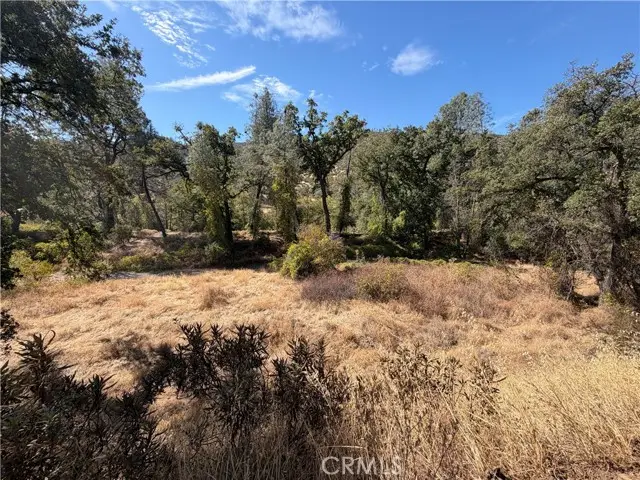 0 Goat Mountain Road, Stonyford, CA 95979 - #3